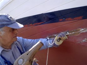 150620131565 Emulo del calafato.jpg